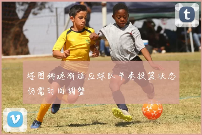 塔图姆逐渐适应球队节奏投篮状态仍需时间调整